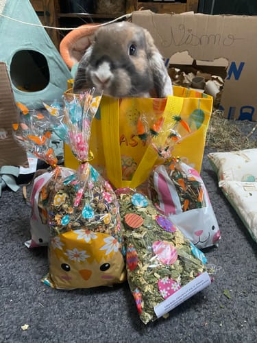 undefined review of Box de Printemps – Éveillez les papilles de votre lapin ! image 1 out of 3