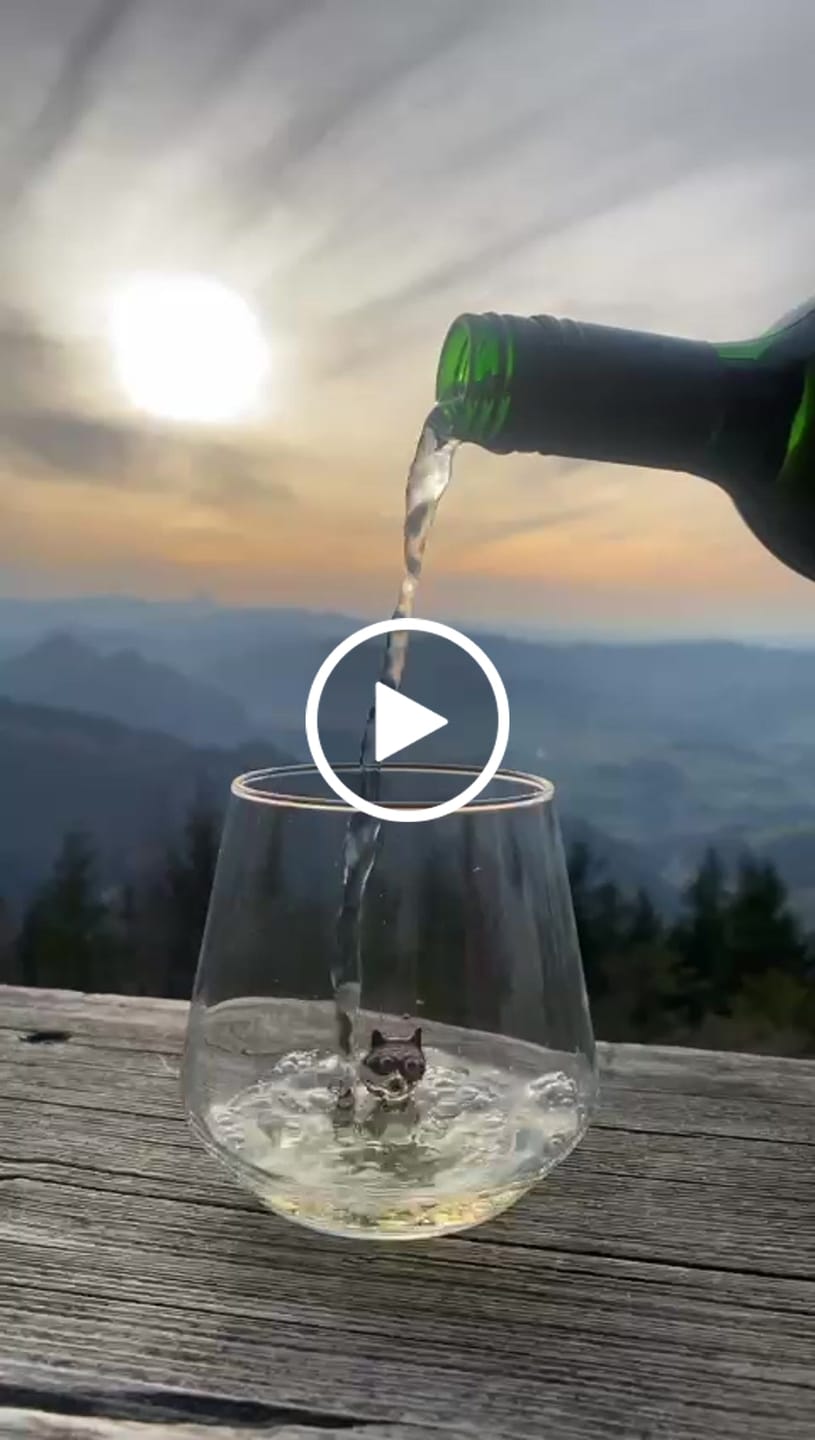 Customer video review of Racoon Glass