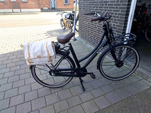 Customer photo review of E-Cargo N3