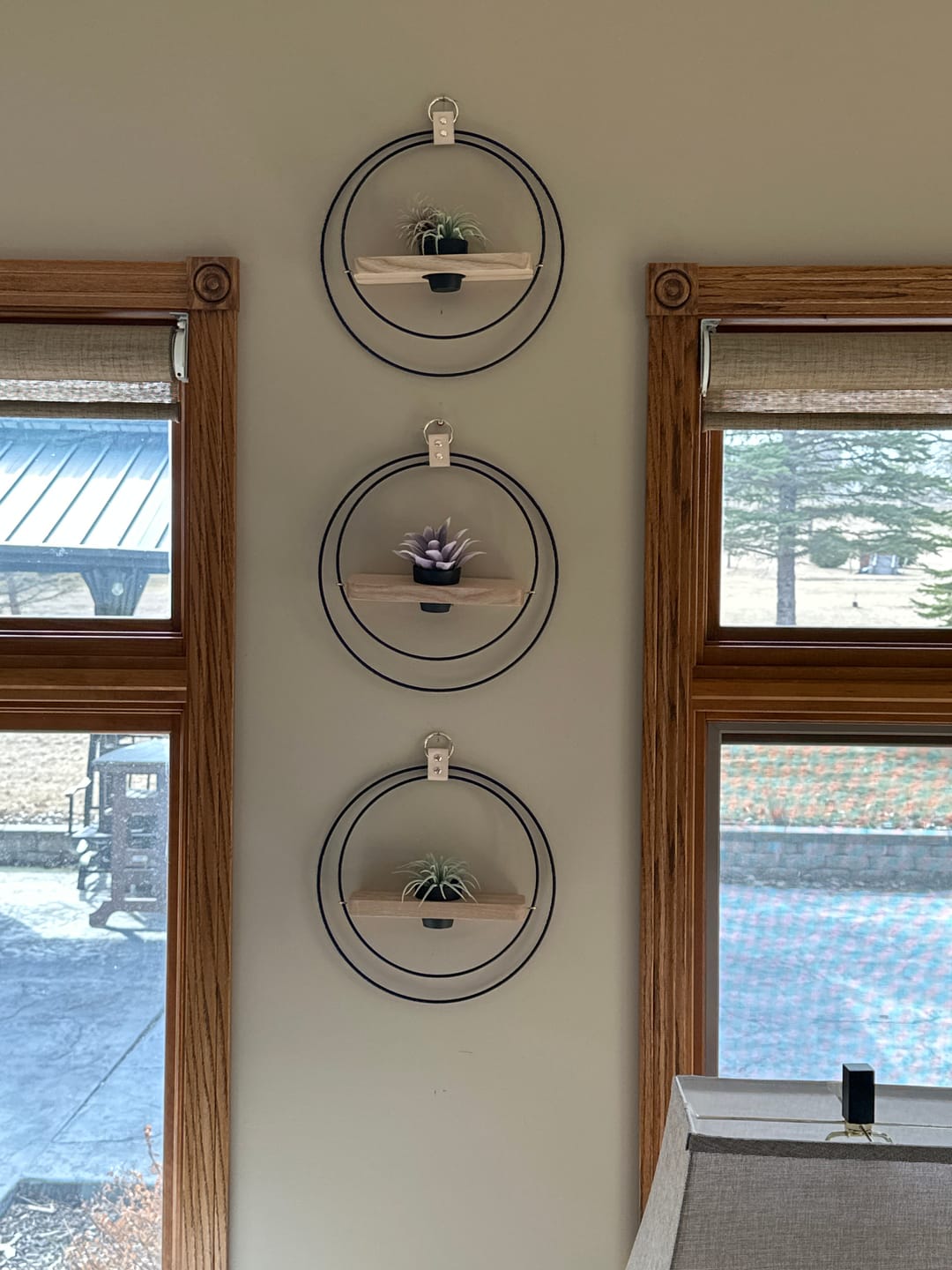 Customer photo review of Air Plant Shelf + Pot Trio
