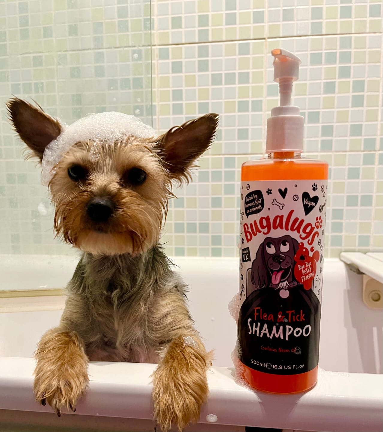 Customer photo review of Flea and Tick Dog Shampoo with Neem Oil