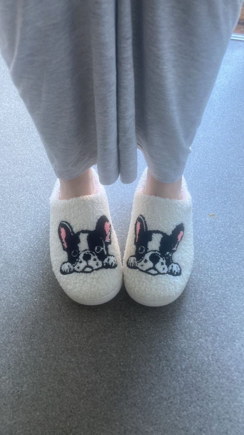 Customer photo review of Boston Terrier Slippers