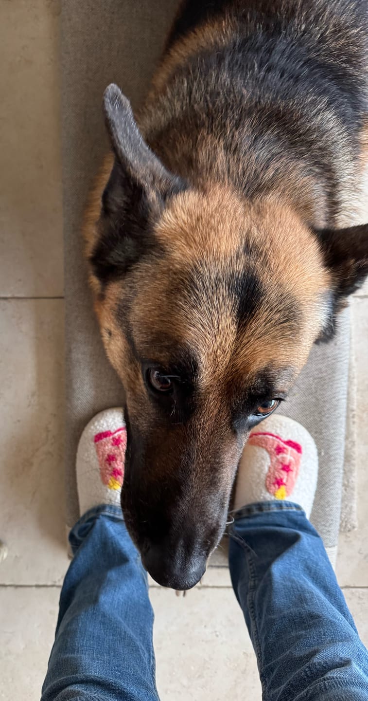 Customer photo review of Cowboy Boots Slippers - Buy 1 Get 1 Free