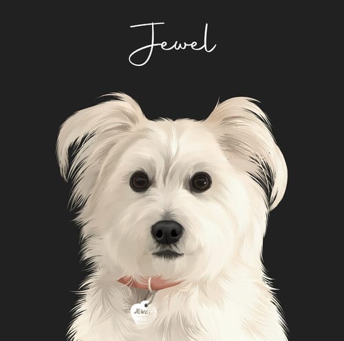 Customer photo review of Pet Art Canvas Wrap
