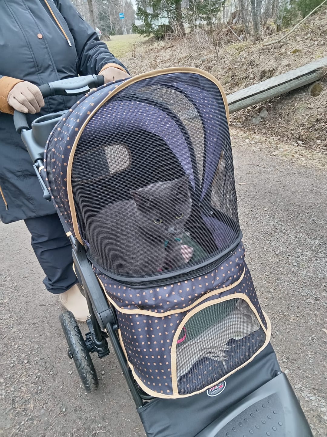 Customer photo review of Adventure lemmikkirattaat