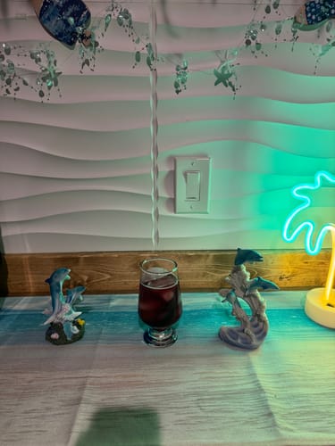 Customer photo review of Black Currant THC Seltzer, 6pk