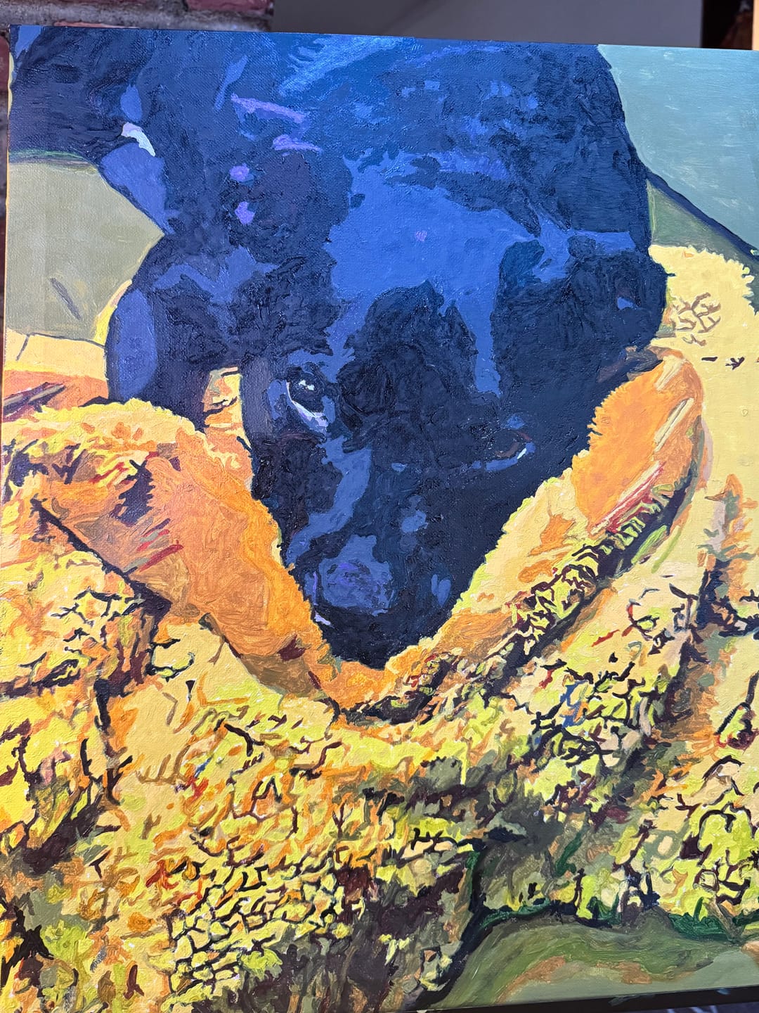 Customer photo review of Pawtrait - Paint Your Pet - Custom Paint by Numbers Kit