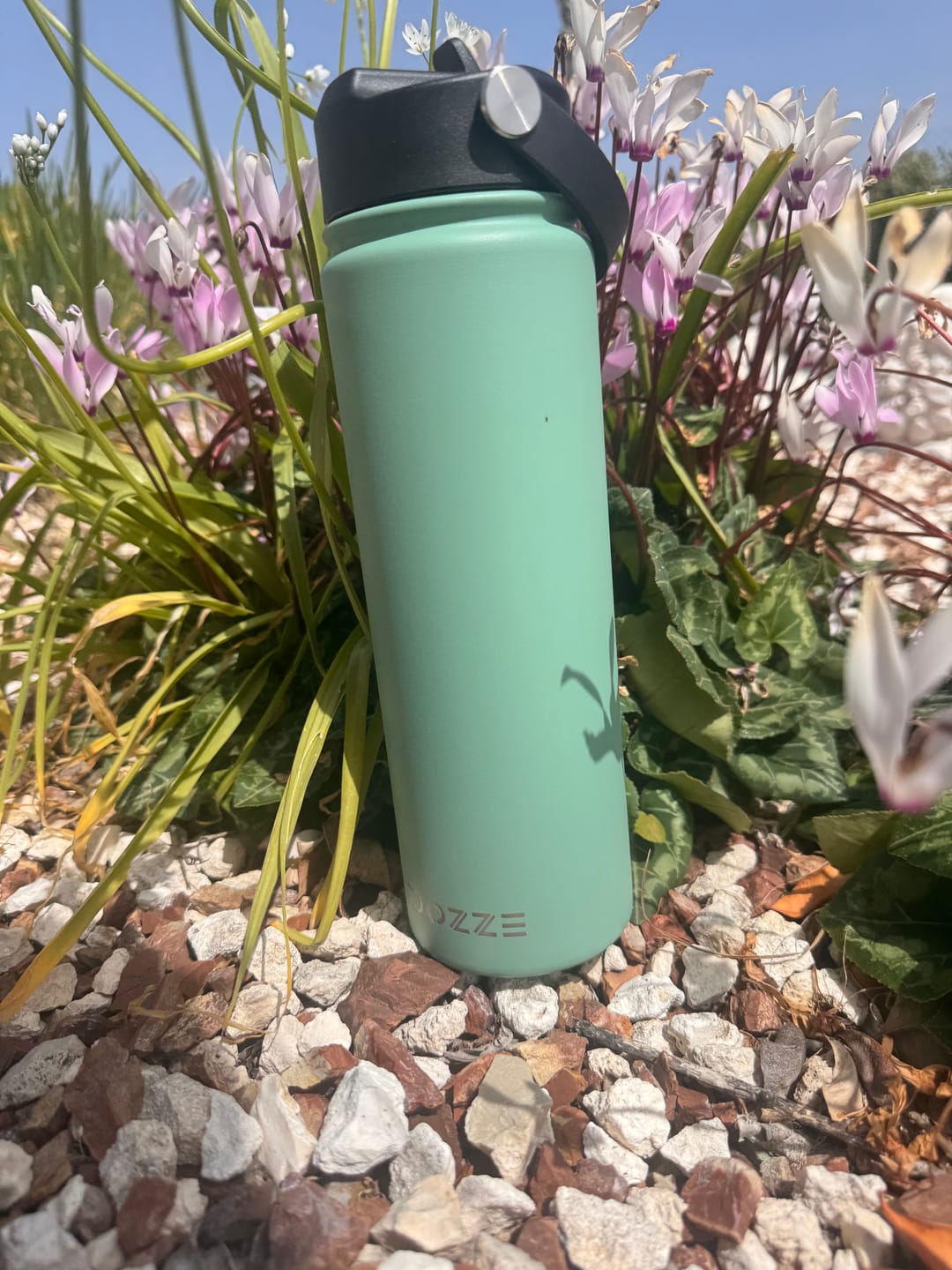 Customer photo review of DOZZE Voyager Water Bottle