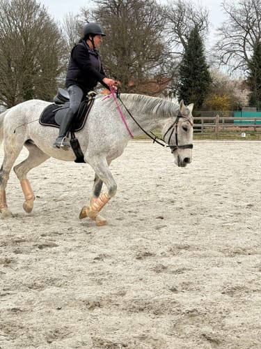 Customer photo review of Der Balance-Zügel - Deine Chance zu mehr Harmonie Ebook