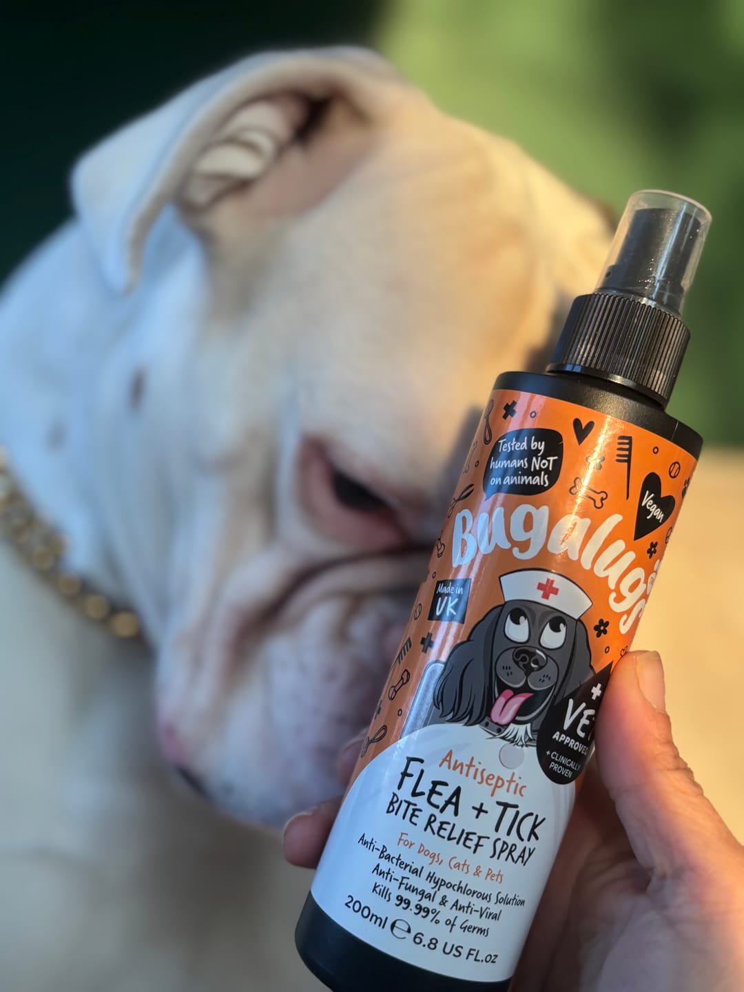 Customer photo review of Antiseptic Flea & Tick Bite Relief Spray for Dogs, Cats & Pets
