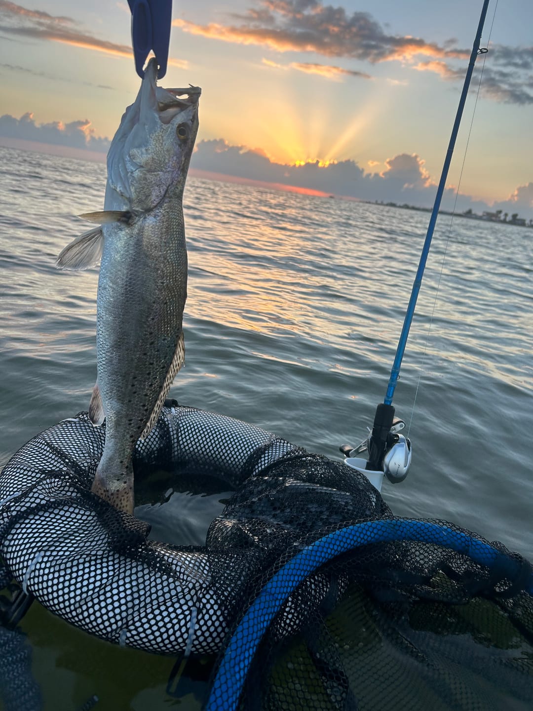 Customer photo review of Shimano Tranx 150HG A