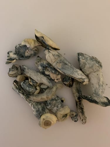 Customer photo review of Non Detect Mushrooms - 50% Off