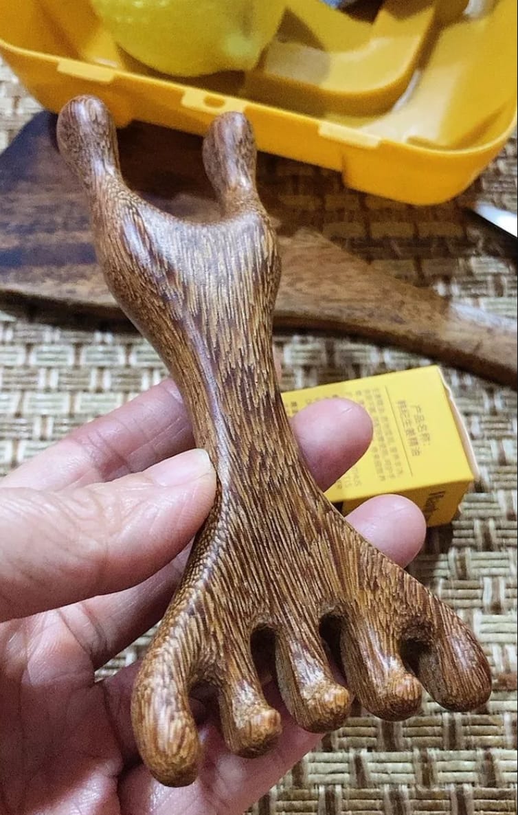 Customer photo review of Saludea FiveTouch Therapy Comb