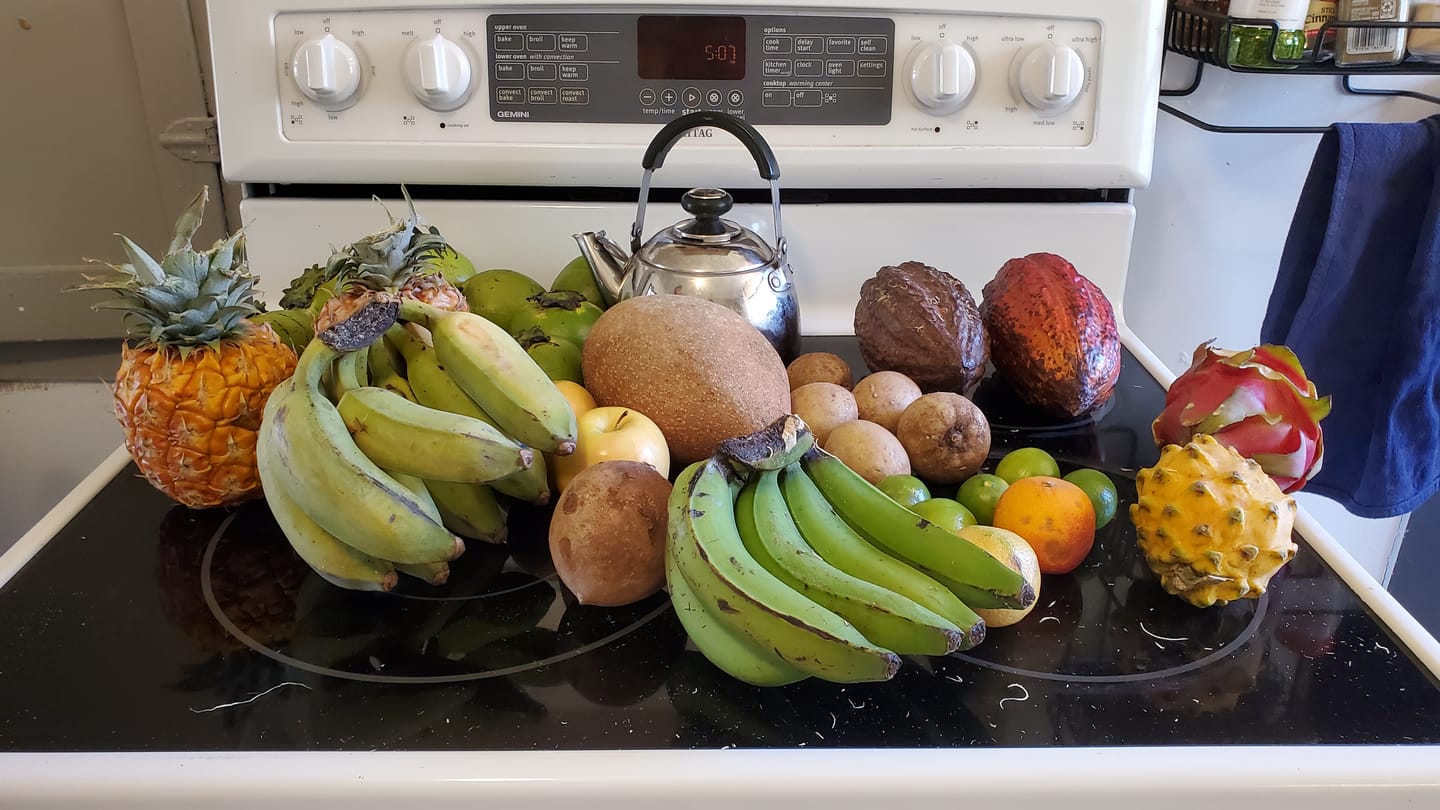 Customer photo review of Build Your Own Tropical Fruit Box