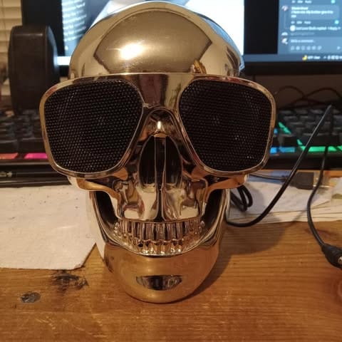 Customer photo review of Just Love Skulls Speaker - Gold Edition