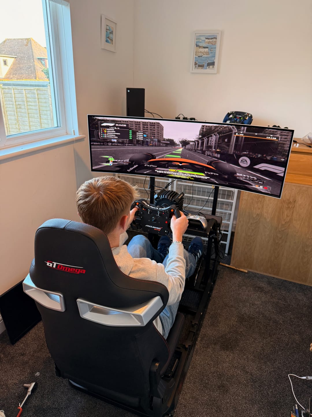 Customer photo review of ART Simulator Single Monitor Mount
