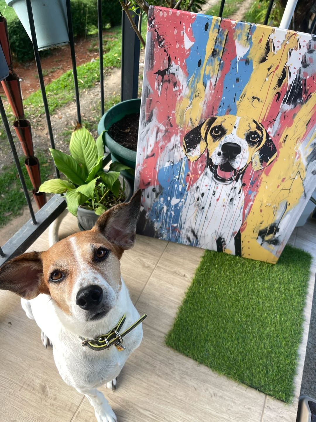 Customer photo review of Abstract Masterpiece - Custom Pet Portrait