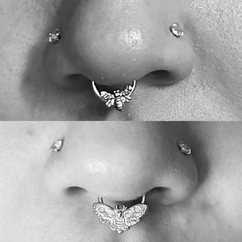 Customer photo review of MOTH SEPTUM