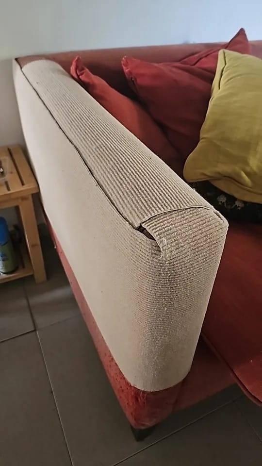 Customer photo review of Multifunctional Cat Scratching Carpet