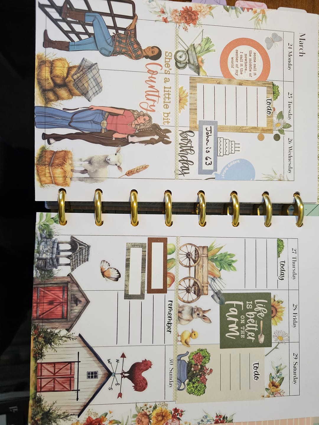 Customer photo review of Country Charm Sticker Book
