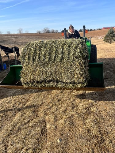 Customer photo review of Hay Chix® 3-Strand Bale Net (West Coast Net)
