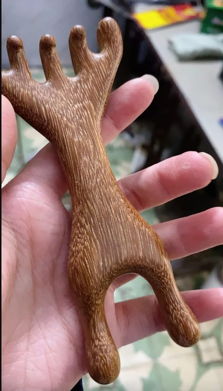 Customer photo review of Saludea FiveTouch Therapy Comb