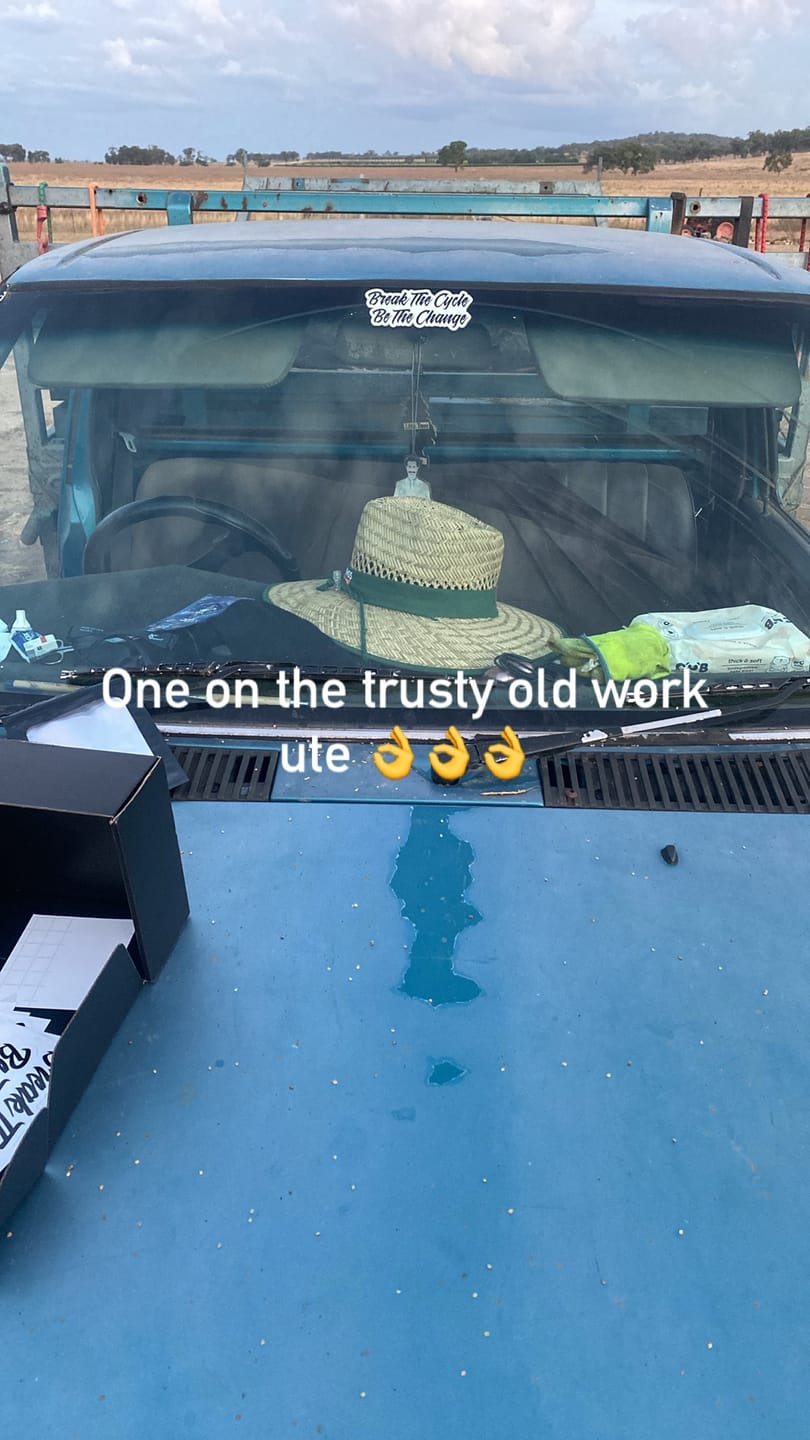 Customer photo review of Die Cut - Custom Stickers