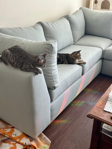 Customer photo review of Parmer Armless Sectional