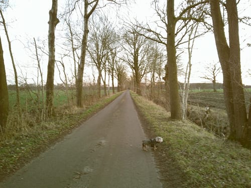 Customer photo review of NUVINT - Digitalkamera