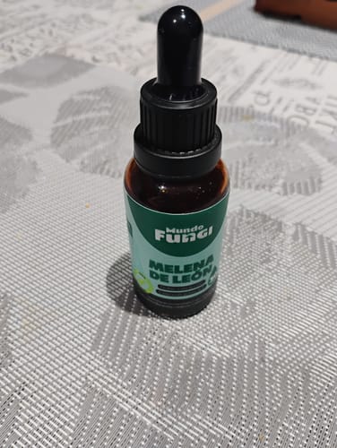 Customer photo review of Melena de León en Gotas - Ultra Concentrado