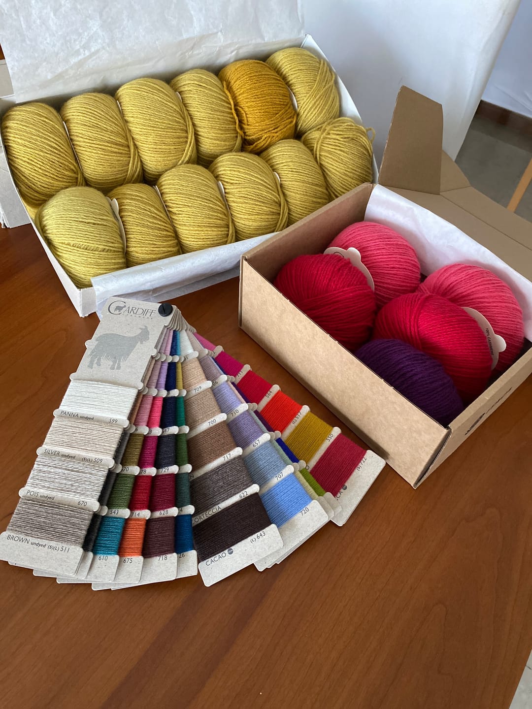 Customer photo review of CARDIFF CASHMERE SHADE CARD
