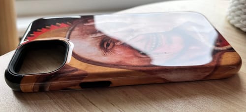 Customer photo review of Laughing Fool | Jacob Cornelisz. van Oostzanen | c. 1500