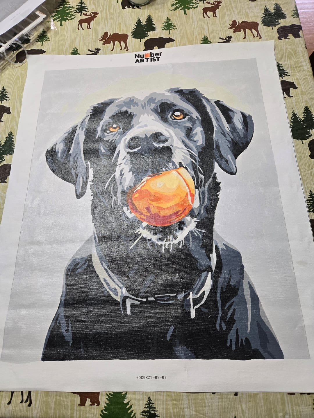 Customer photo review of Play Time