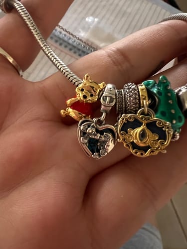 Customer photo review of Charm Winnie the Pooh Tierno