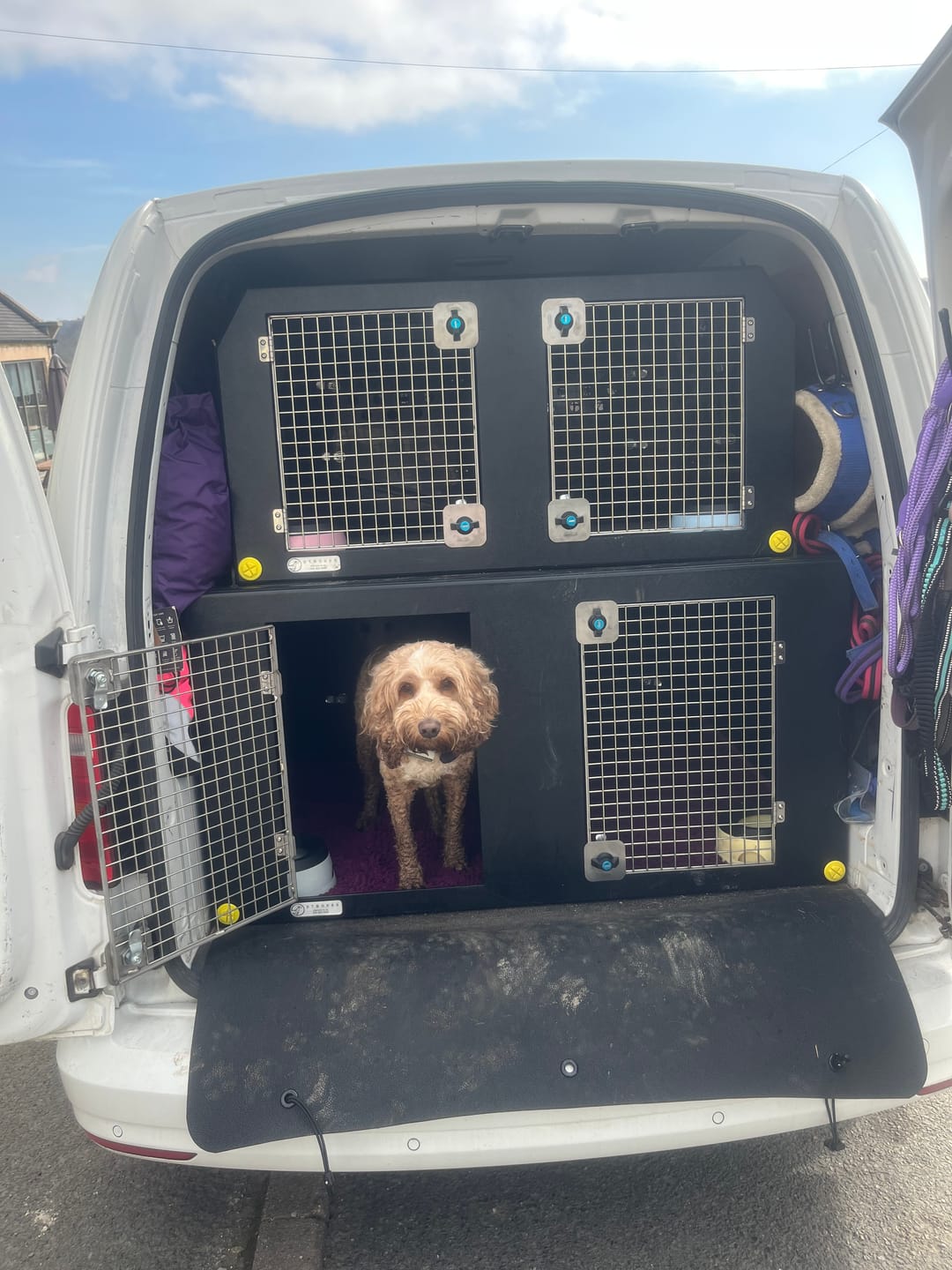 Customer photo review of Dog Van Kit | VW Caddy | 2013-Present | Double stack | DT VS1