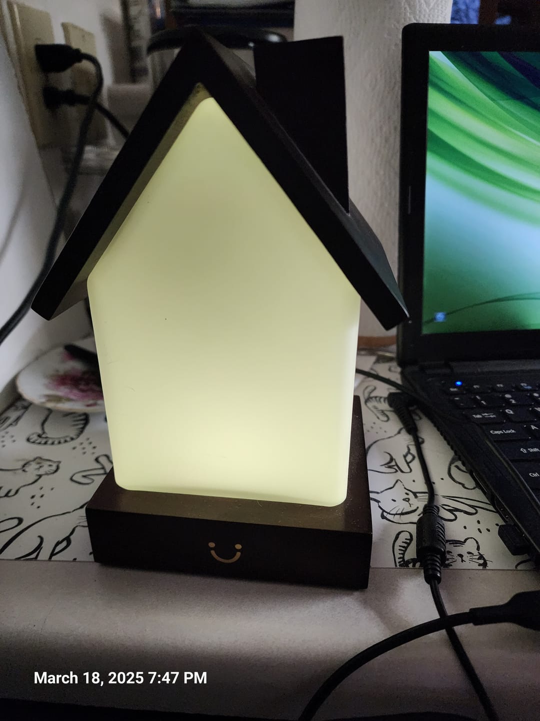 Customer photo review of Modern Home Lamp