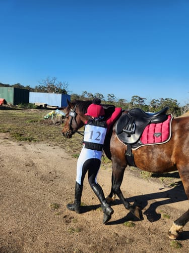 Customer photo review of NEW!  Girls White with Black Seat Rosette Breeches