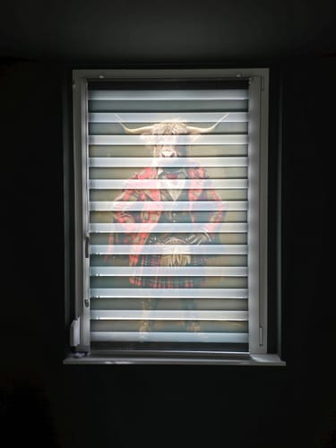 Customer photo review of Doppelrollo Klemmfix mit Motiv