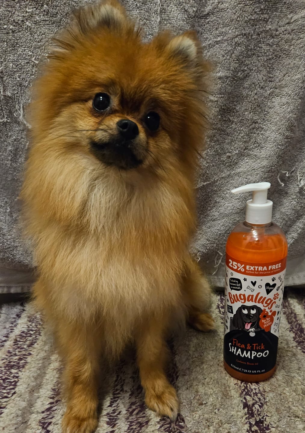 Customer photo review of Flea and Tick Dog Shampoo with Neem Oil