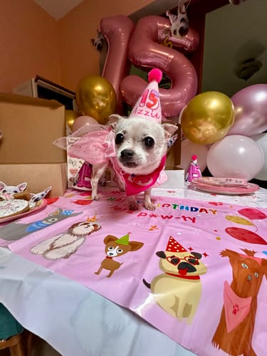 Customer photo review of Personalized Dog Party Pack