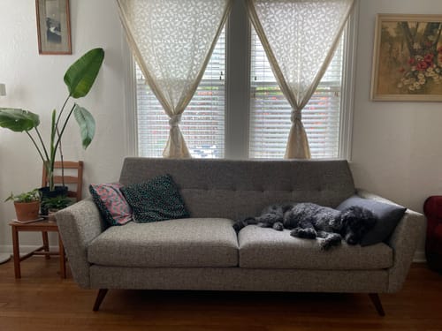 Customer photo review of Lamar 87" Sofa
