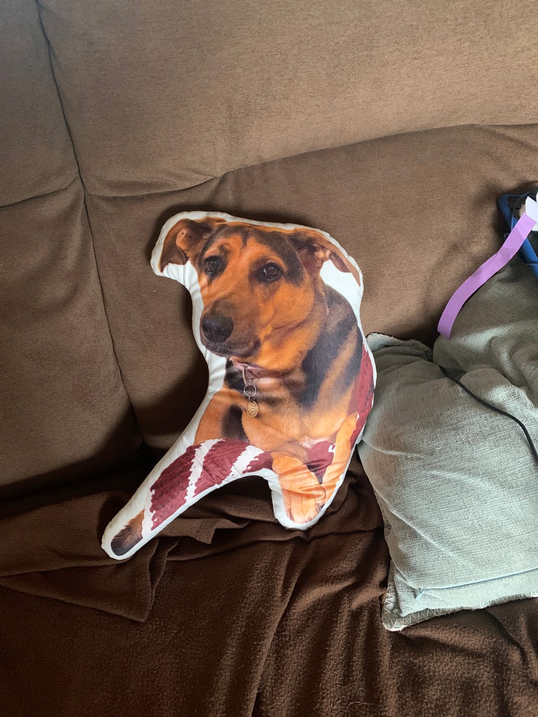Customer photo review of Custom Pet Shaped Pillow that Look Like your Pet - ThePetPillow