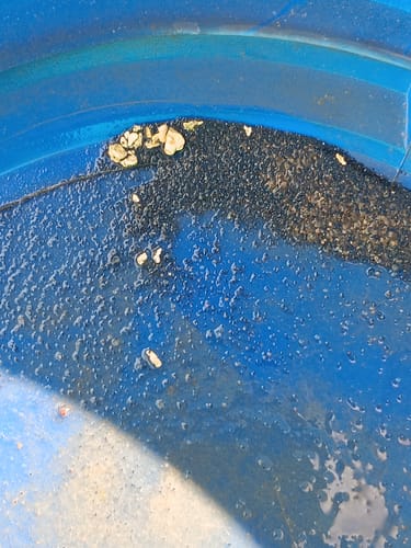 Customer photo review of 5 Lb. NUGGET RESERVE™ ‘Specimen Elite’ - Gold Paydirt