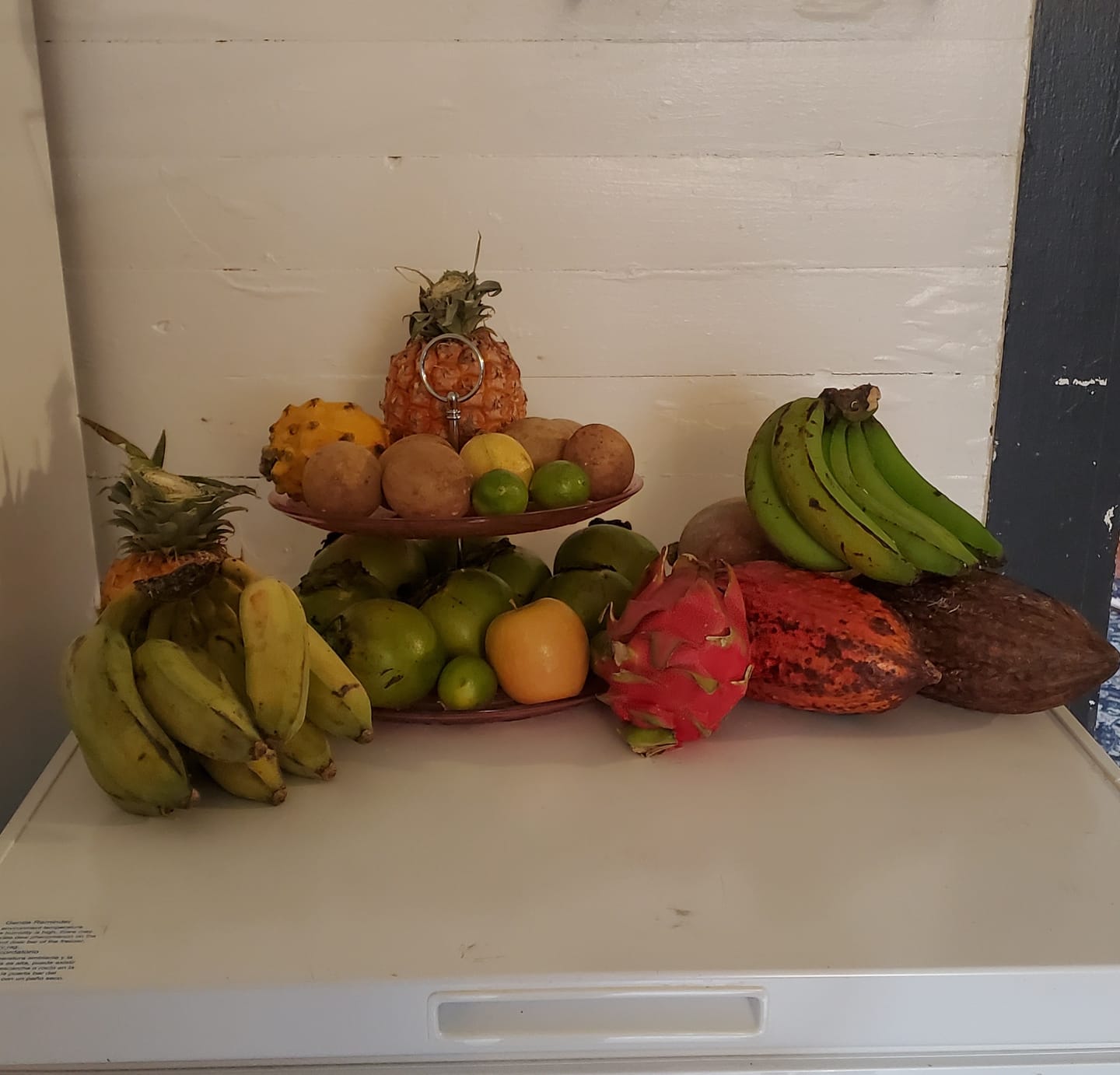 Customer photo review of Leftovers Box