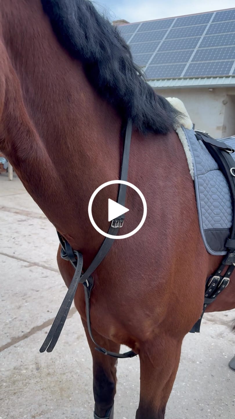 Customer video review of Engel - Korrektur Aufpolster Schabracke