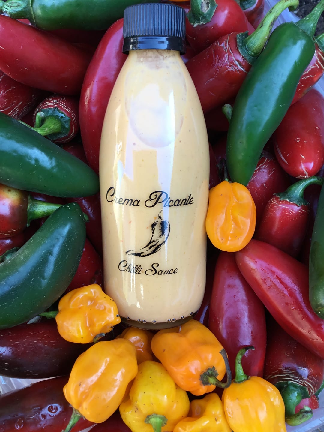 Customer photo review of 5L Cold-Pressed Macadamia Oil - Mbombela