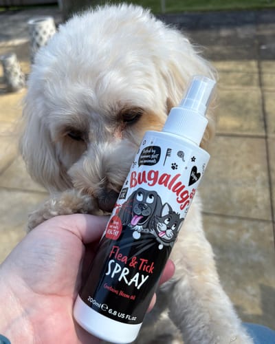 Customer photo review of Flea & Tick Spray with Neem Oil for Dogs & Cats