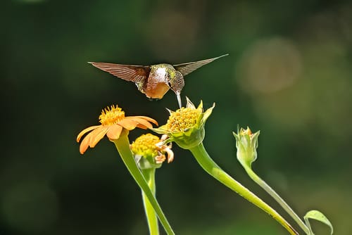 Customer photo review of 11x14 Photo Prints