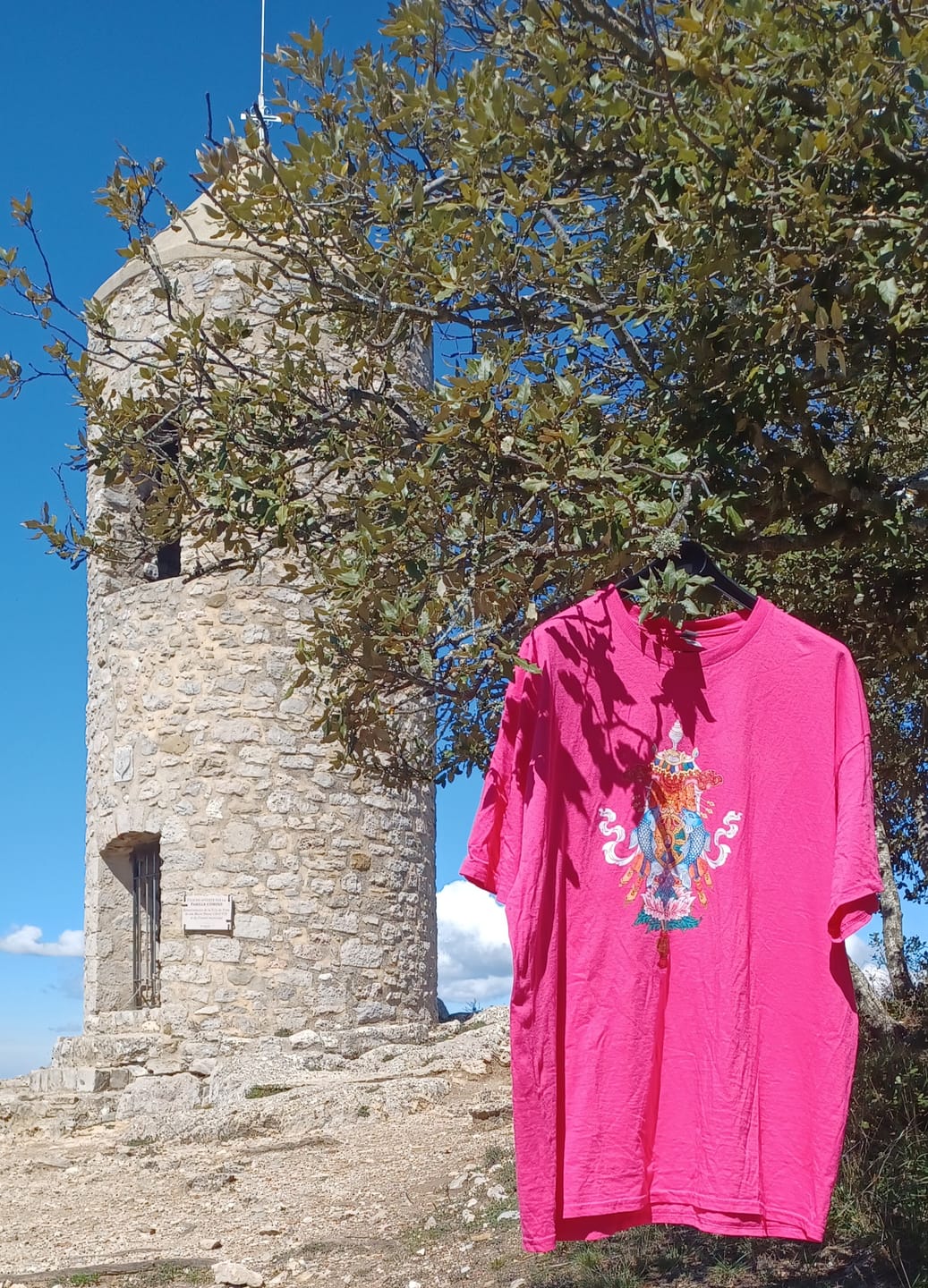 Customer photo review of Dharma T-shirts | Unisex (13 Couleurs)