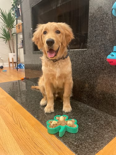 Customer photo review of FreezShamrock - Premium Enrichment Toy